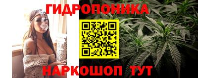 2c-b Будённовск